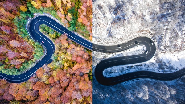 Decorative image of seasonal changes from autumn to winter. Key visual that symbolizes the message behind this webpage. 