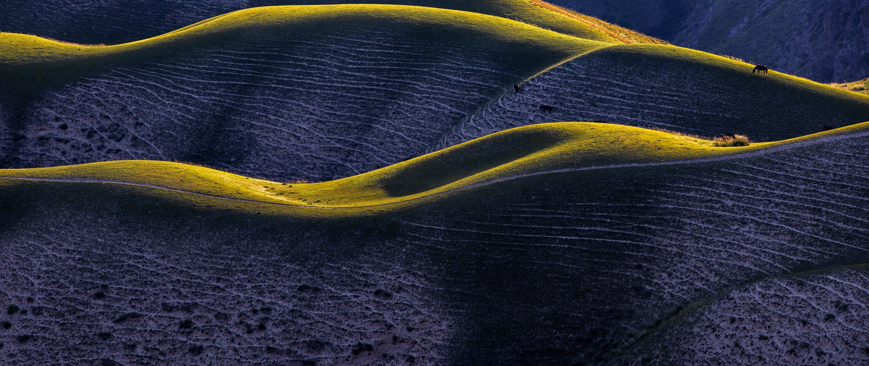 Nos thèmes d’investissement 2025