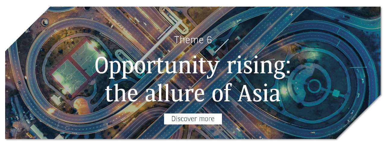 theme6