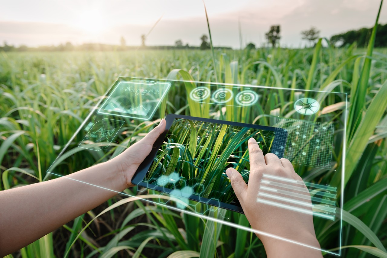 Tablette virtuelle dans un champ